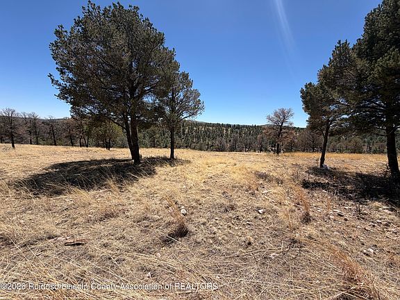 3rd image of LOT-60B Bobby Jones Ct