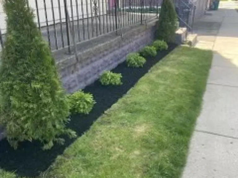 181 Jersey St — Photo 2