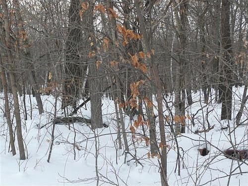 1st image of 32941 County Highway 3