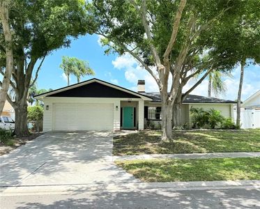 1972 Briarwood St, Dunedin, FL, 34698