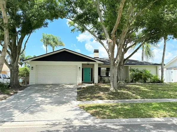 1972 Briarwood St, Dunedin, FL 34698