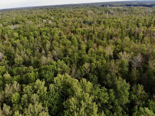 1XYZ County Road 6, Barnum, MN 55707