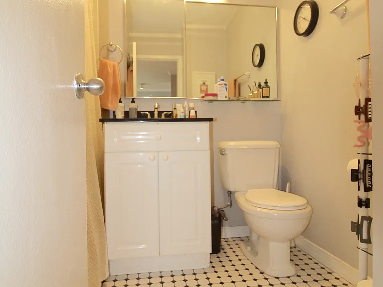 1455 N Sandburg Ter #203 — Photo 10