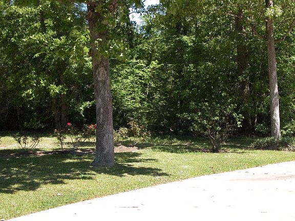 Tree shaded lot 