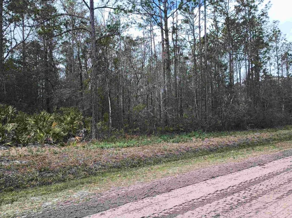 10455 Carpenter Ave, Hastings, FL 32145