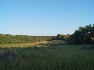 1040 Mahaffey Cooley Rd, Chesnee, SC 29323