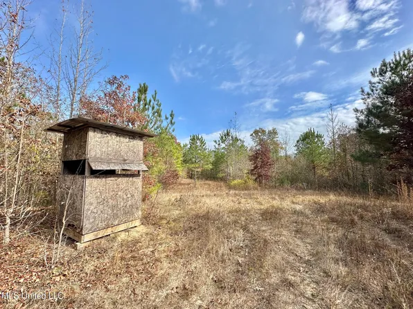 4 County Road 3122, Mc Cool, MS 39108