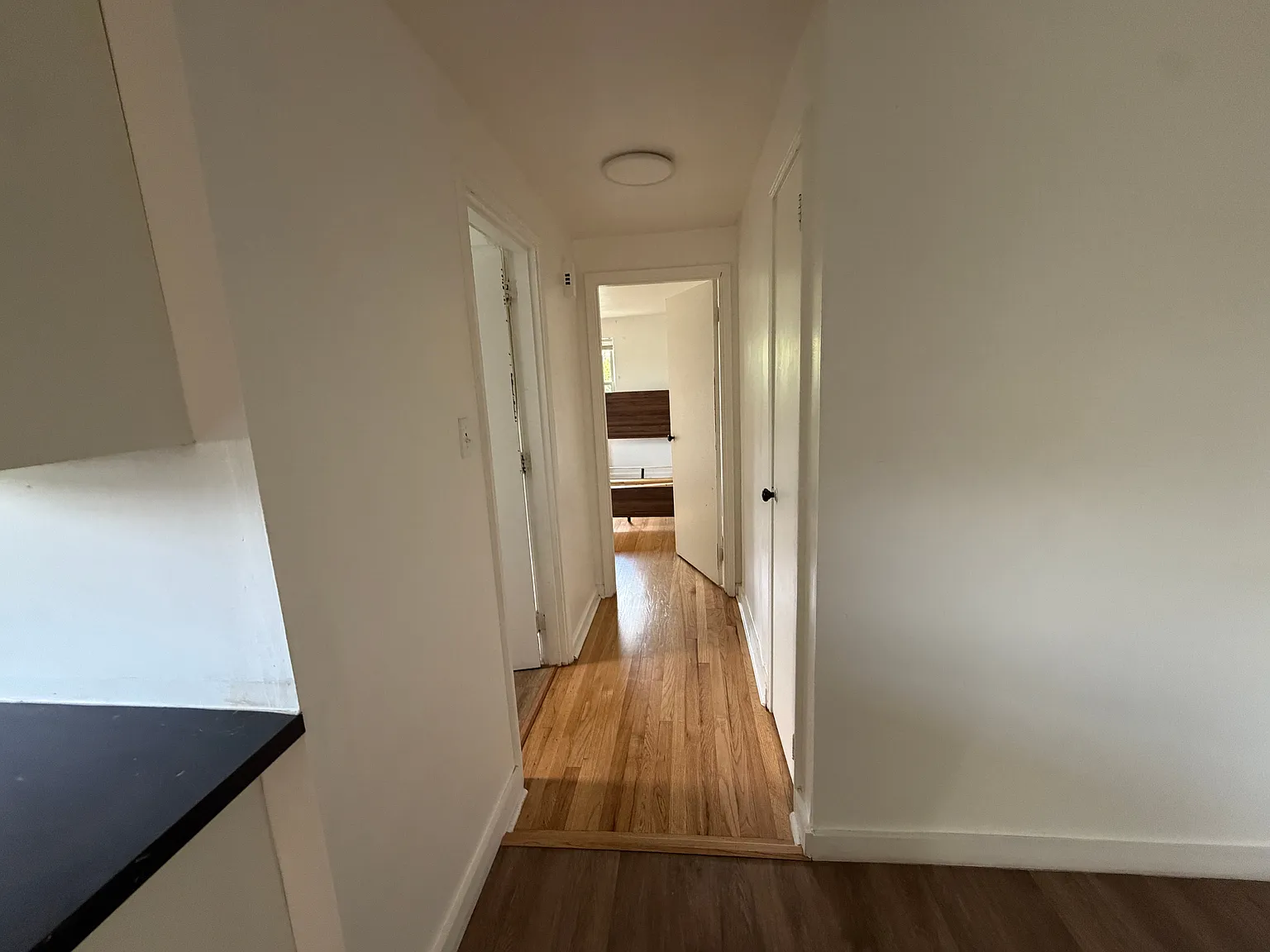 Spacious 1 Bedroom with Hardwood floors and Stainless Appliances — Photo 2