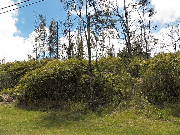 5th image of Kala St Lot 586