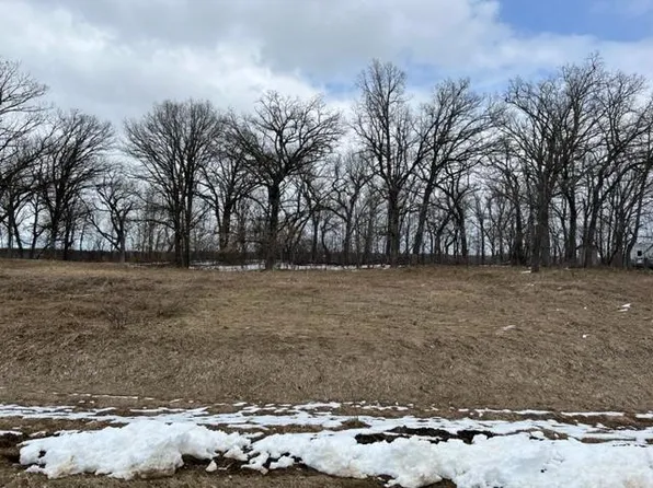 Willow Creek Dr, Henning, MN 56551