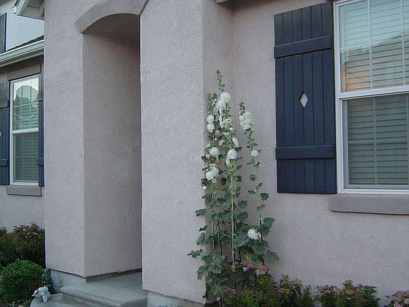 House Front - Jun 2010