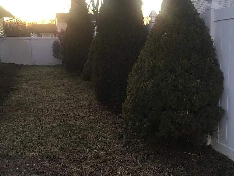 Large private backyard