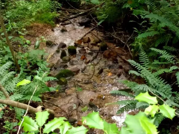 0 Big Creek Rd, Ellijay, GA 30536