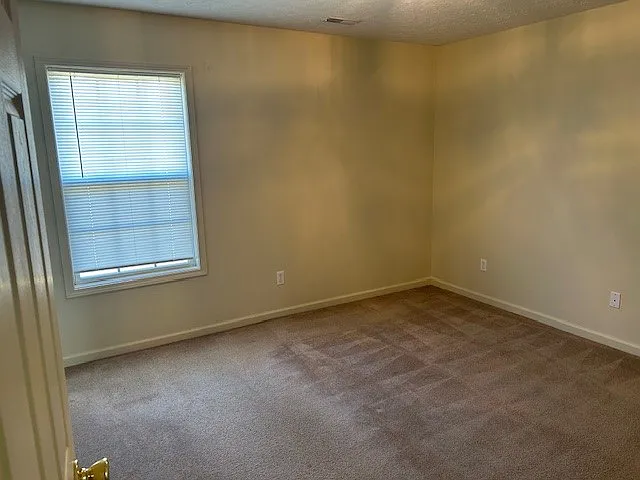 313 Pappy Dr — Photo 9