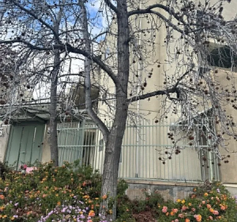 Building Photo 4