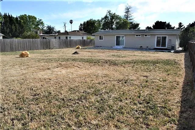 Giant Back Yard