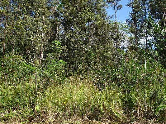 1st image of Hinalea St Lot 336