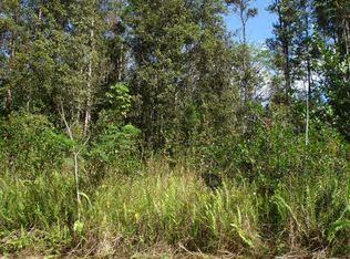 Hinalea St LOT 336, Pahoa, HI 96778