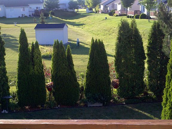 Back upper patio view