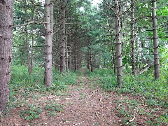 3rd image of 36638 County Road 358