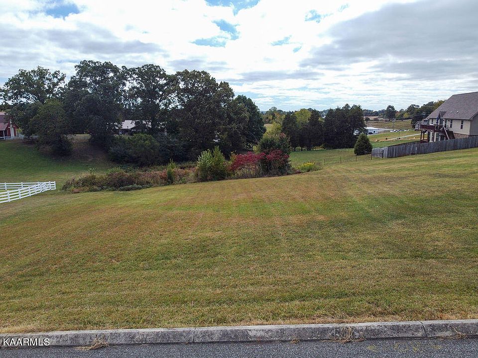 1st image of Ambernic Way