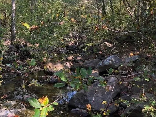 2 Church Rd, Annapolis, MO 63620