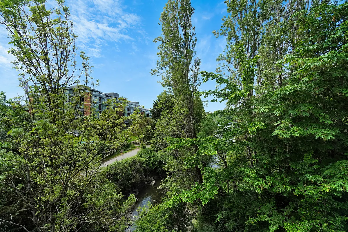 252 Gorge Rd E — Photo 4