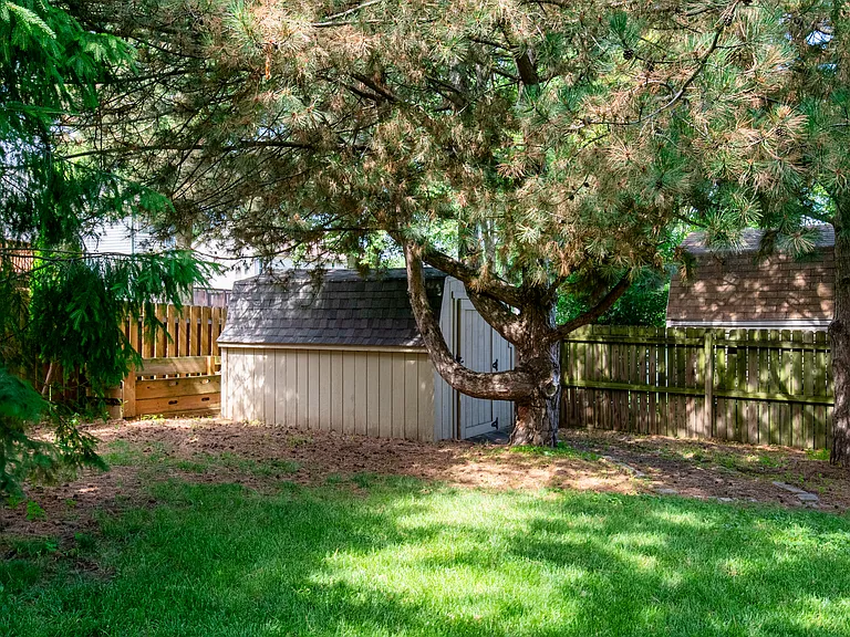 Shed