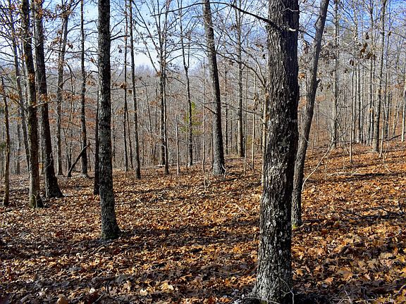 2nd image of County Road 3780