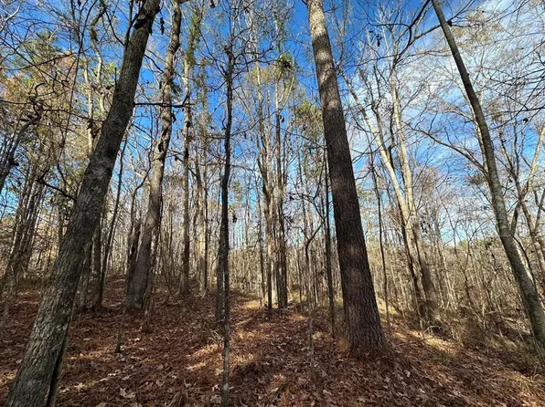 3125 Norman Rd, Hazlehurst, MS 39083