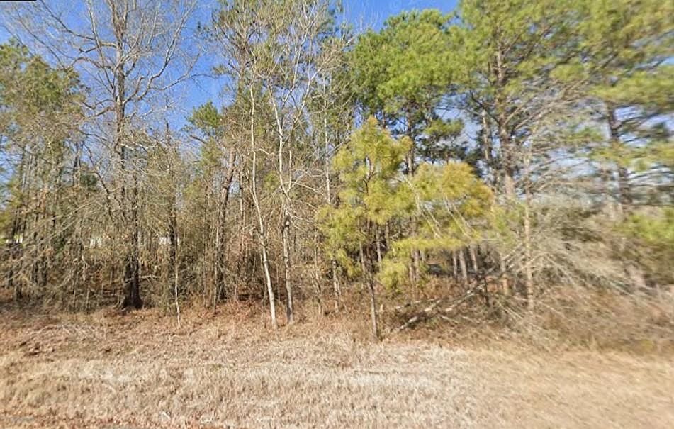 2nd image of Fannie Verdine Rd