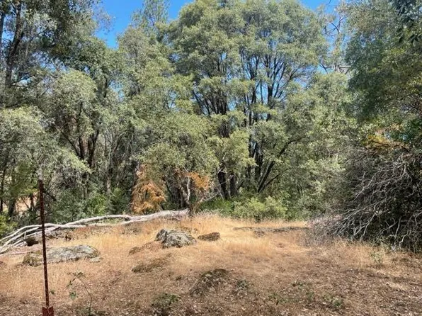 23100-23100 Roden Ln, Pioneer, CA 95666