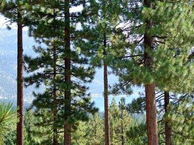 737 Tyner Way, Incline Village, NV, 89451