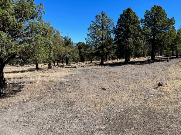 Unit 1 Brook Ln Lot 35, Weed, CA 96094