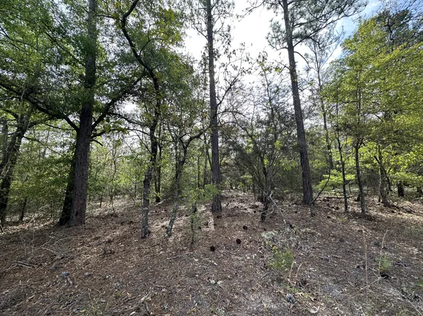 PARCEL Bear Lake Rd #A, Crestview, FL 32539