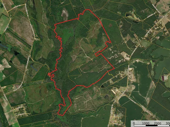 0 Gully Branch Rd., Dillon, SC 29536