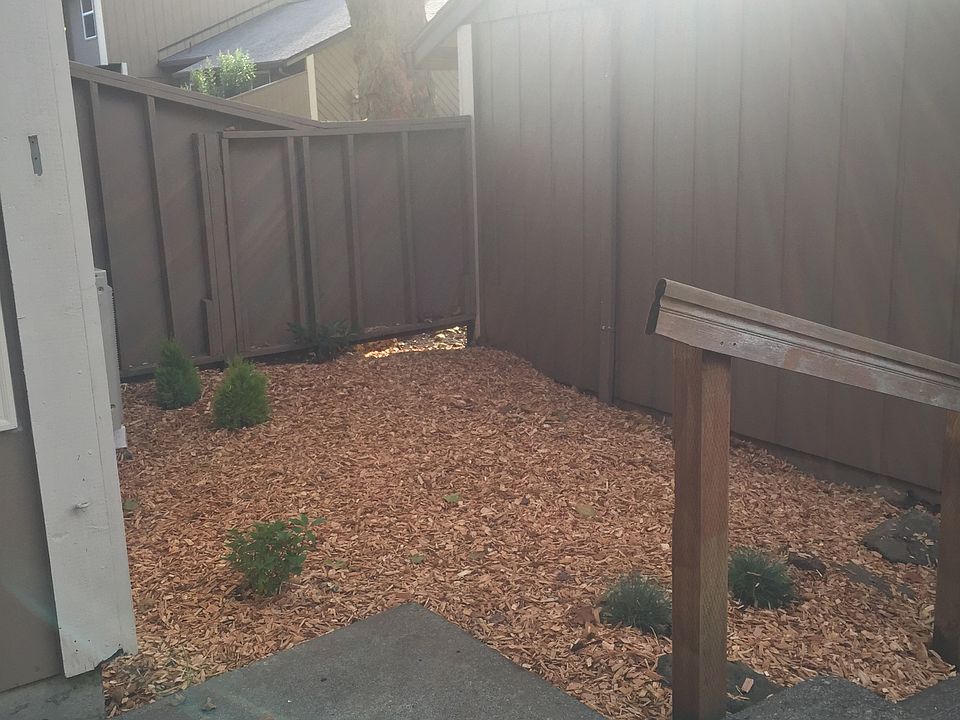 Back yard