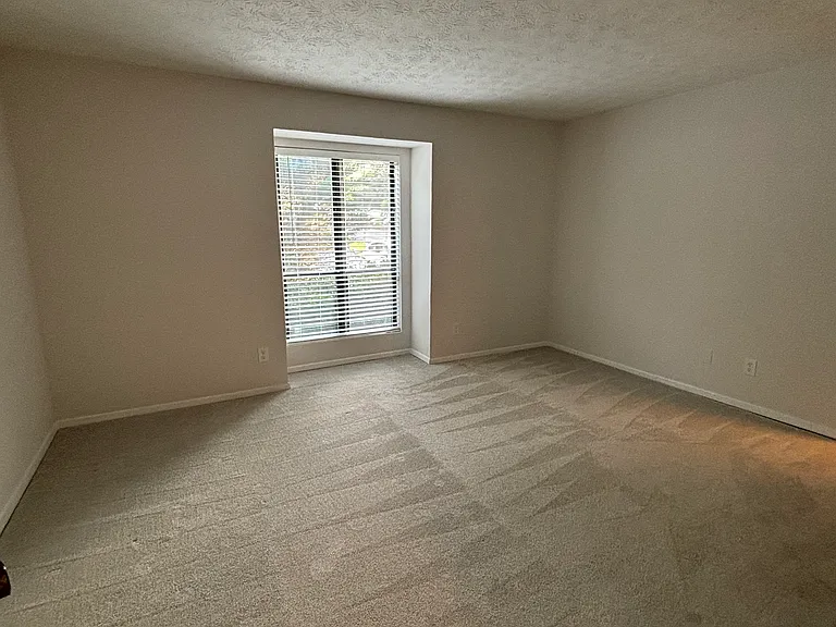 Second Bedroom (has large closet)