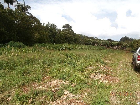 5th image of LOT 20 Lot 20