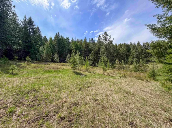 822J Barzee Rd, Colville, WA 99114