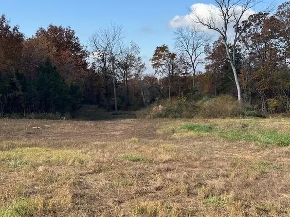 26511 Farm Road 1255, Golden, MO 65658