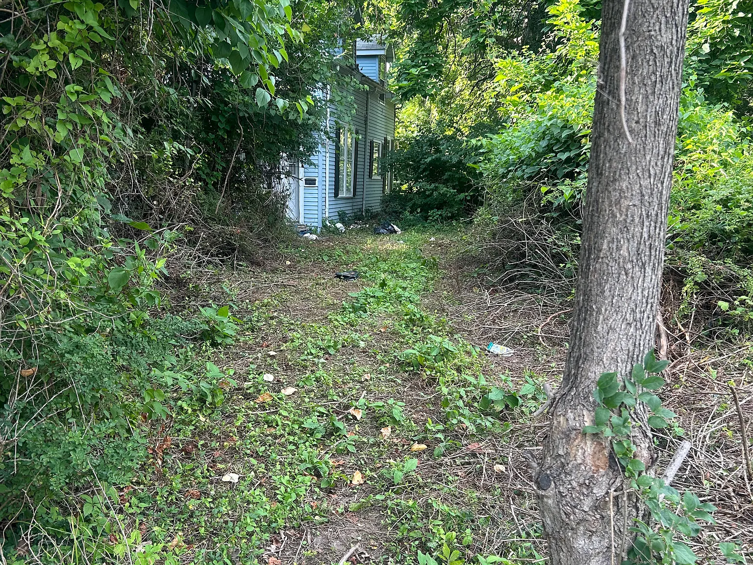 3 bed, 1384 sqft, $700 — Photo 4