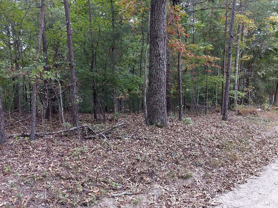 1st image of LANCE Mountain Spur