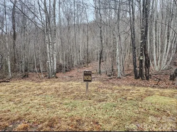0 Beaver Dam Rd, Banner Elk, NC 28604