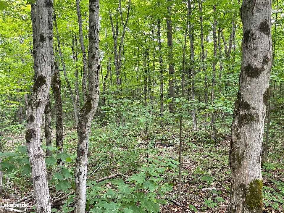 2nd image of 23 Ahmic Lake Rd