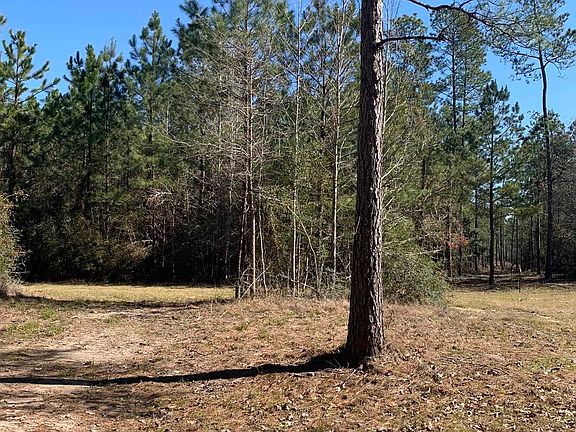 2nd image of 0 County Road 37