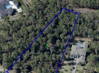 15942 Pendio Dr Lot 198, Montverde, FL 34756