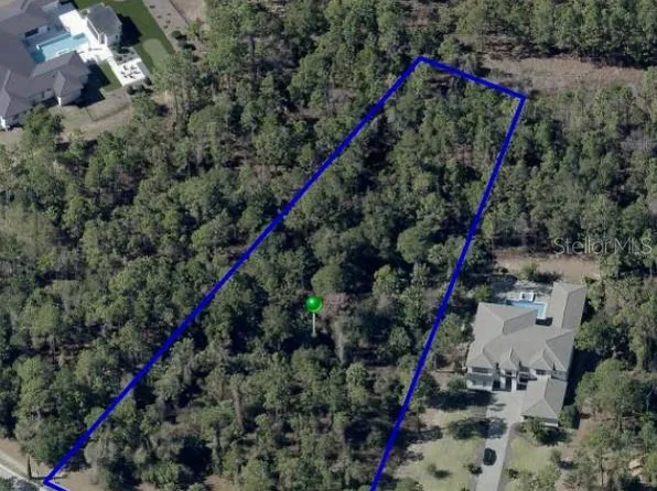 15942 Pendio Dr Lot 198, Montverde, FL 34756