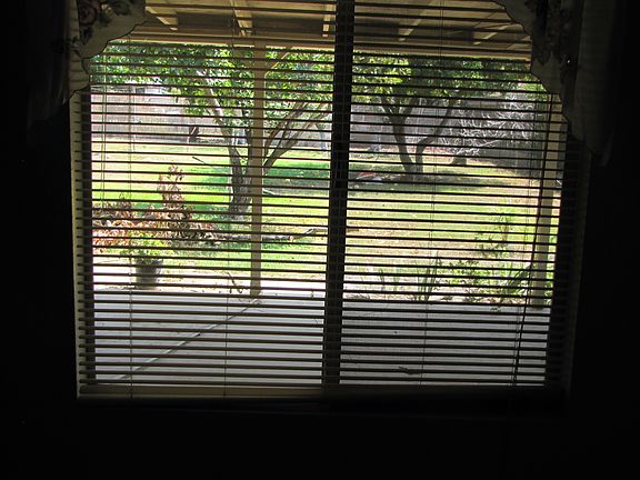 Fenced Backyard & Covered Patio