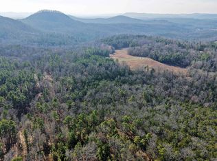 350 Gorby Rd, Calico Rock, AR 72519